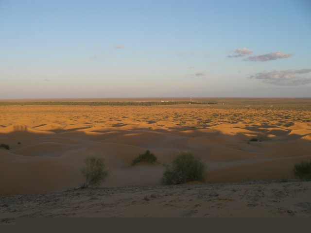 cimg1175.jpg