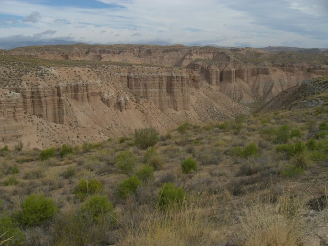 cimg1046.jpg