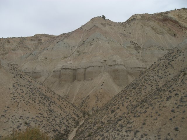 cimg1047.jpg