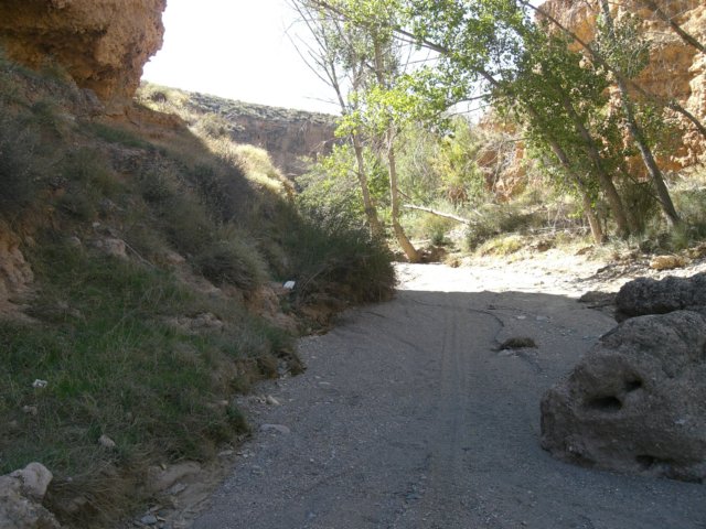 cimg1054.jpg