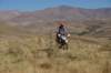 dsc08379_small.jpg