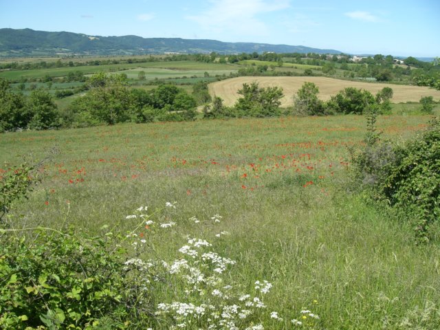 cimg0651.jpg